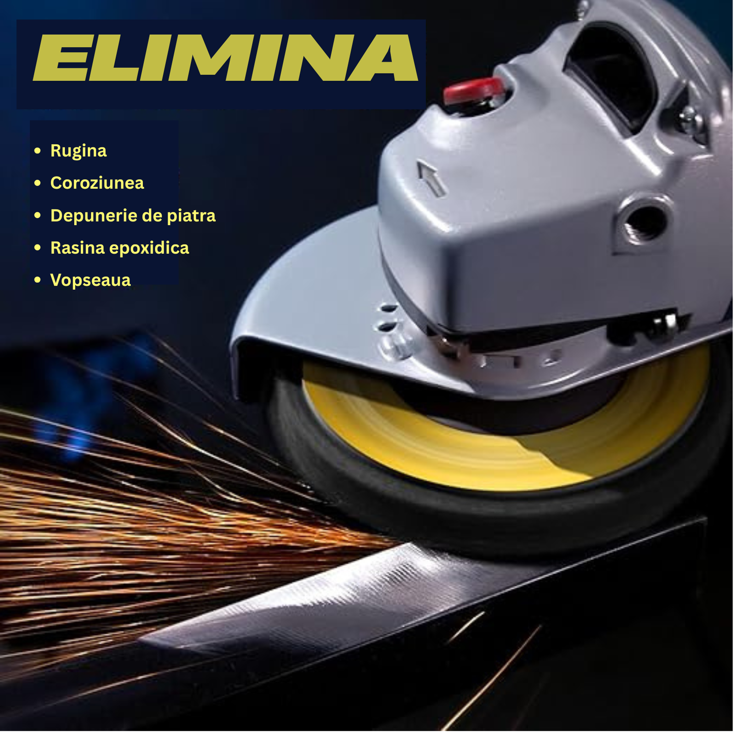 Disc curatare rugina si vopsea StripMaster Pro