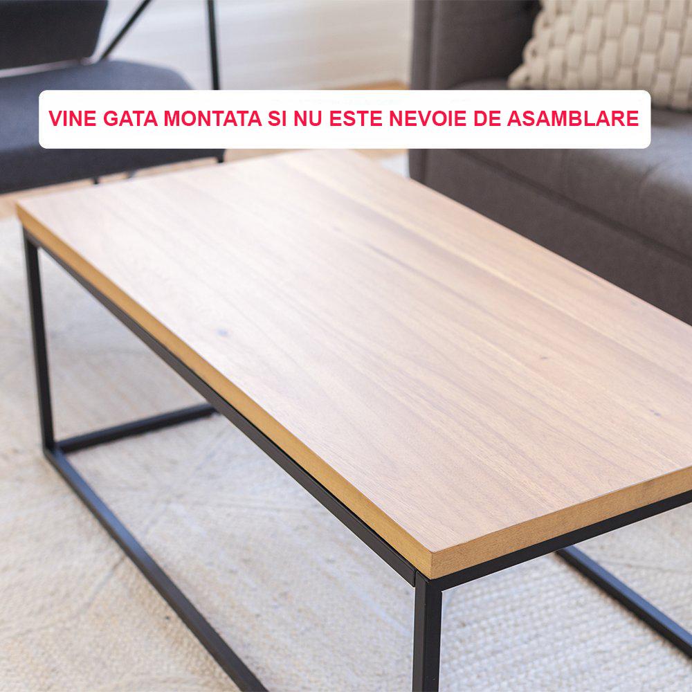 Masuta Cu Spatiu De Depozitare 100 x 60 cm